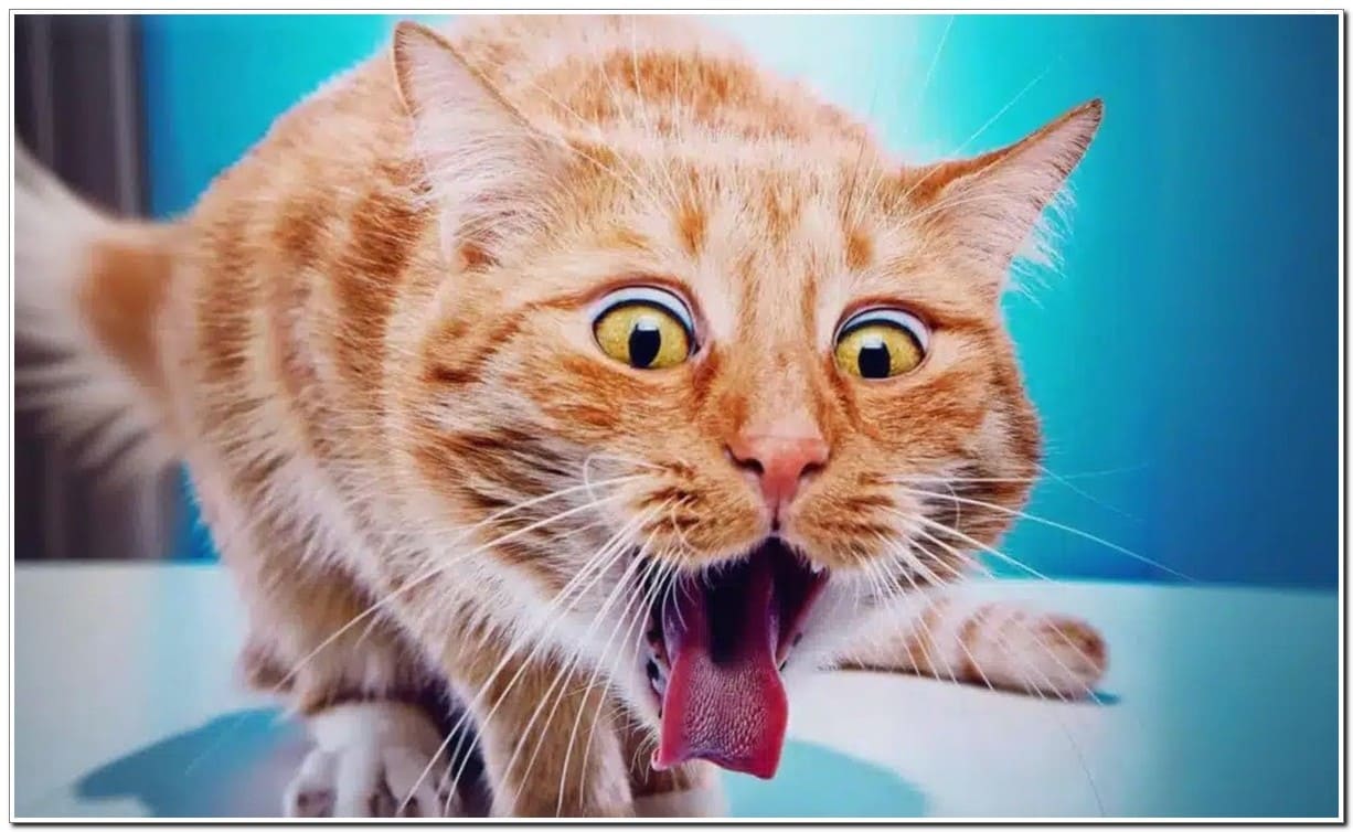 Искусство пресыщения Искусство пресыщения